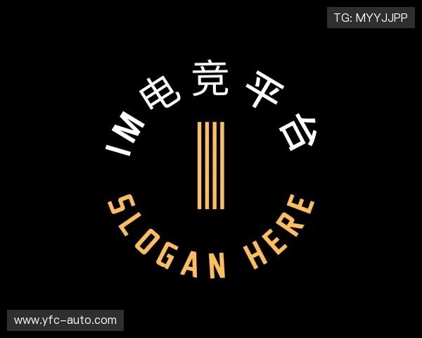 了解&#x69;&#x6d;&#x7535;&#x7ade;